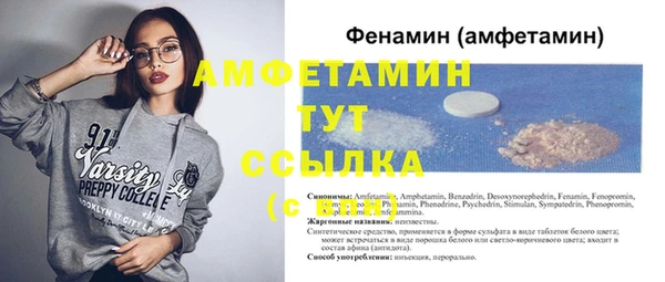 прущие грибы Белокуриха