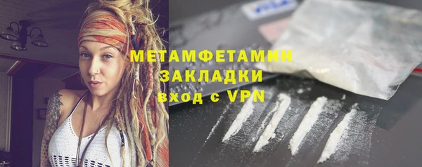 прущие грибы Белокуриха