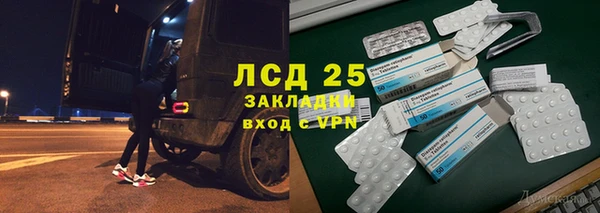 прущие грибы Белокуриха