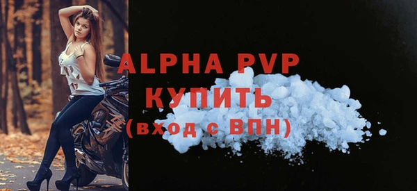 прущие грибы Белокуриха