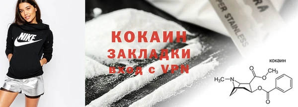 прущие грибы Белокуриха