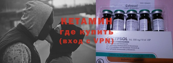 прущие грибы Белокуриха