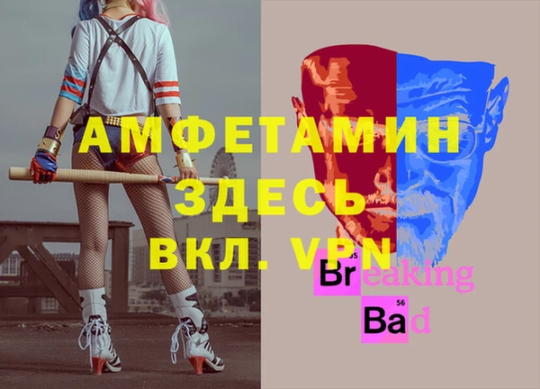 прущие грибы Белокуриха