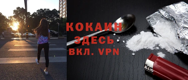 прущие грибы Белокуриха
