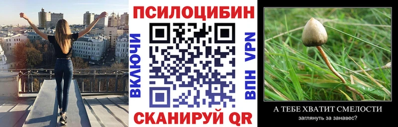 закладки Бутурлиновка Псилоцибиновые грибы мицелий