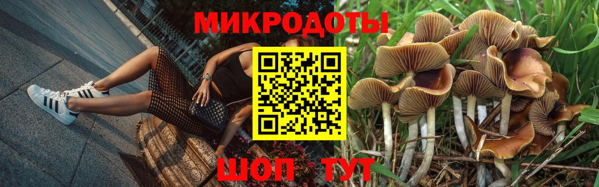Псилоцибиновые грибы ЛСД Бутурлиновка
